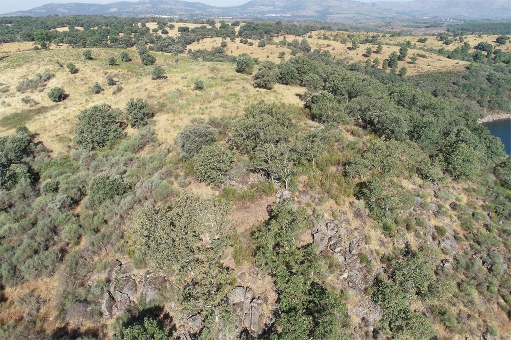 Estudio Histórico Arqueológico del yacimiento denominado Castillejo, Villasbuenas de Gata, Sierra de Gata, Cáceres.