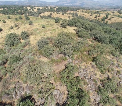 Estudio Histórico Arqueológico del yacimiento denominado Castillejo, Villasbuenas de Gata, Sierra de Gata, Cáceres.