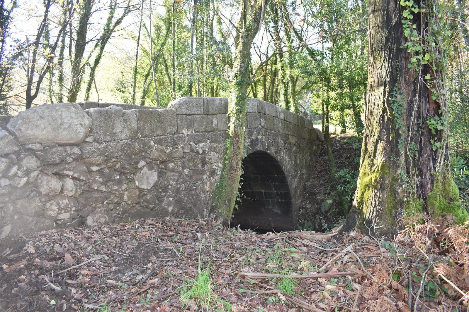 Acondicionamento e mellora de Ponte Berrimes en Lousame (A Coruña) - Imagen 4