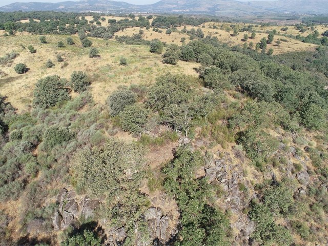 Estudo Arqueolóxico Histórico do xacemento chamado Castillejo, Villasbuenas de Gata, Sierra de Gata, Cáceres.