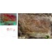 Foto 1 Hallazgo de un conjunto de pintura prehistórica en el sitio de Pala de Cabras, en Casaio (Ourense)