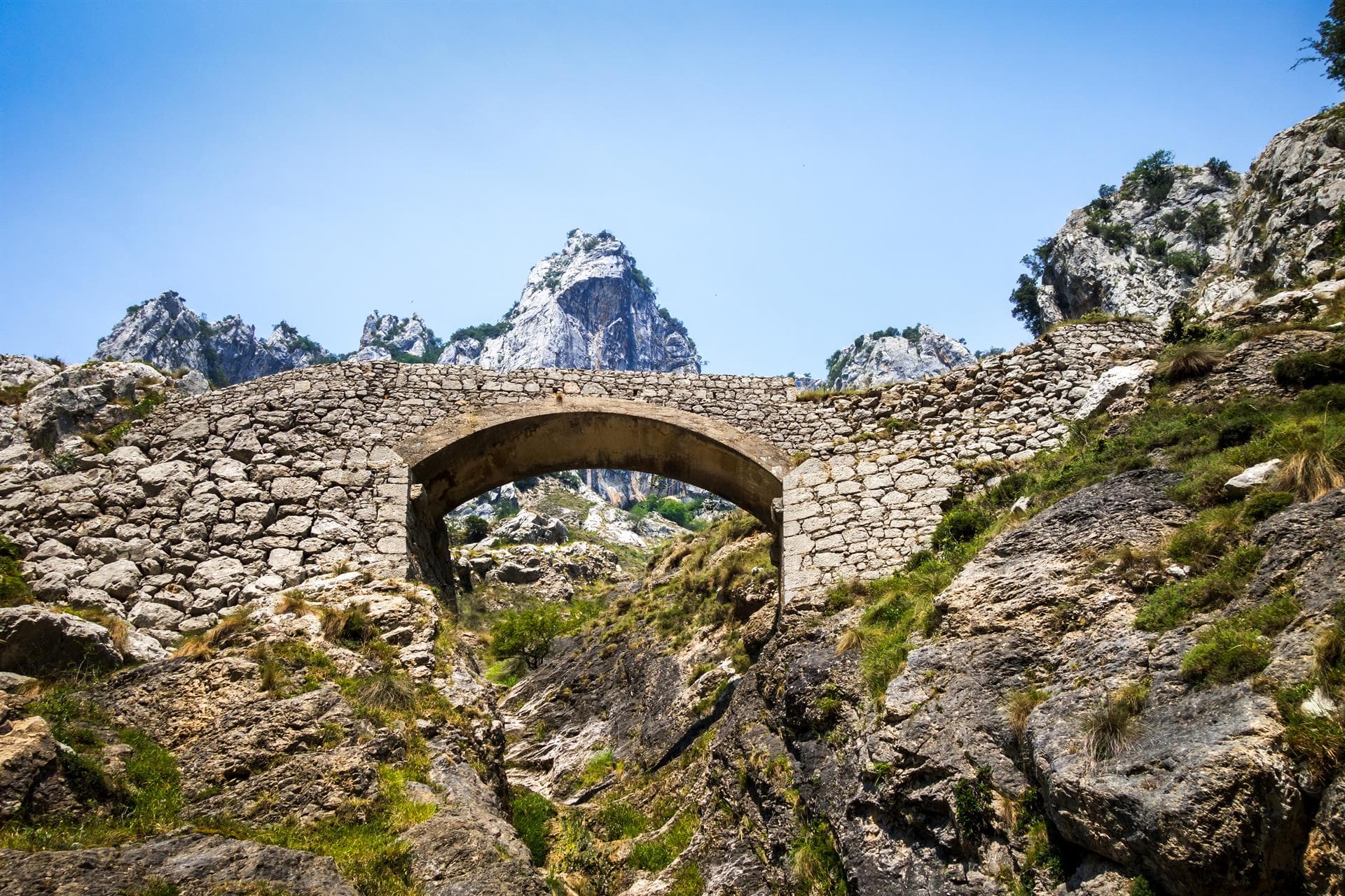 Tu empresa de arqueología en el norte de España