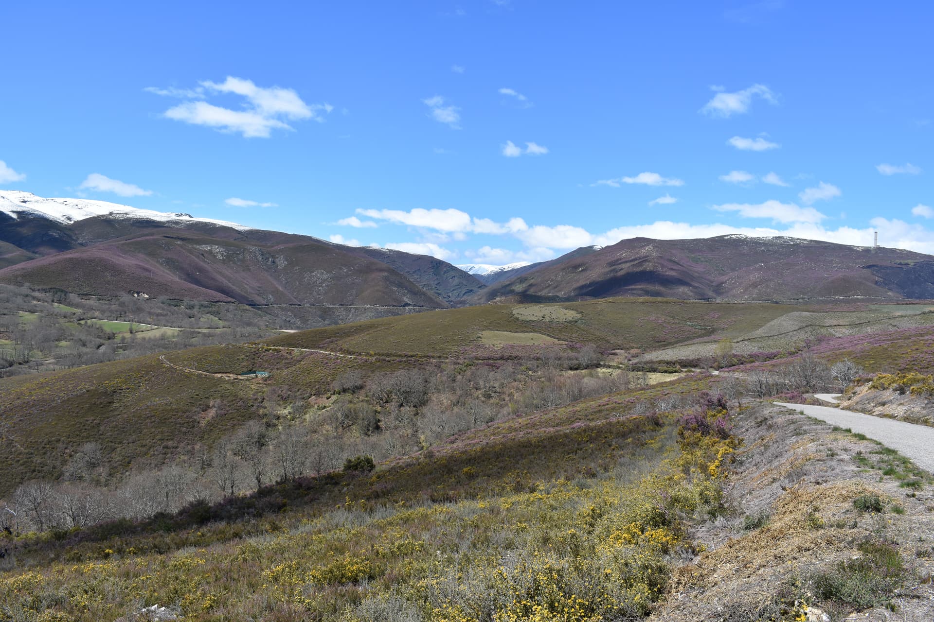 Servicios de arqueología en Galicia