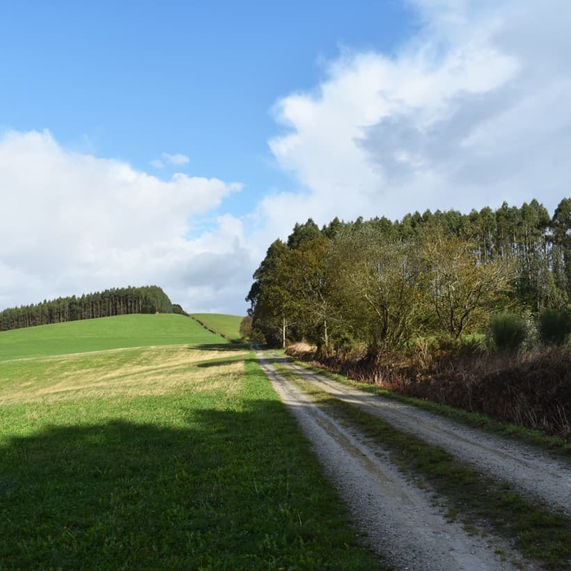 Arquivo técnico do equipo de Tempos Arqueólogos
