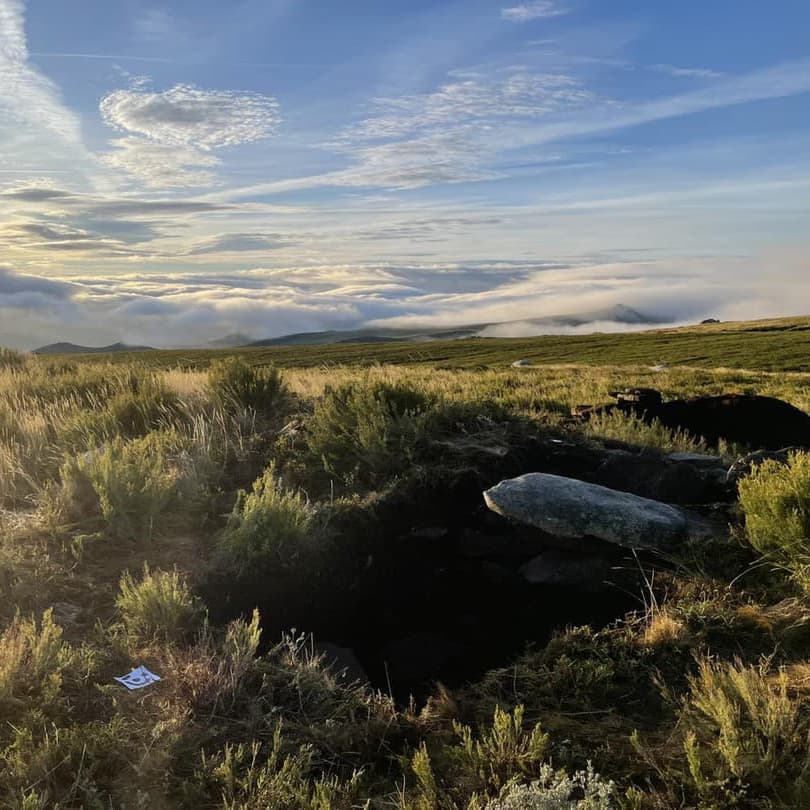 Servicios de arqueología en Extremadura