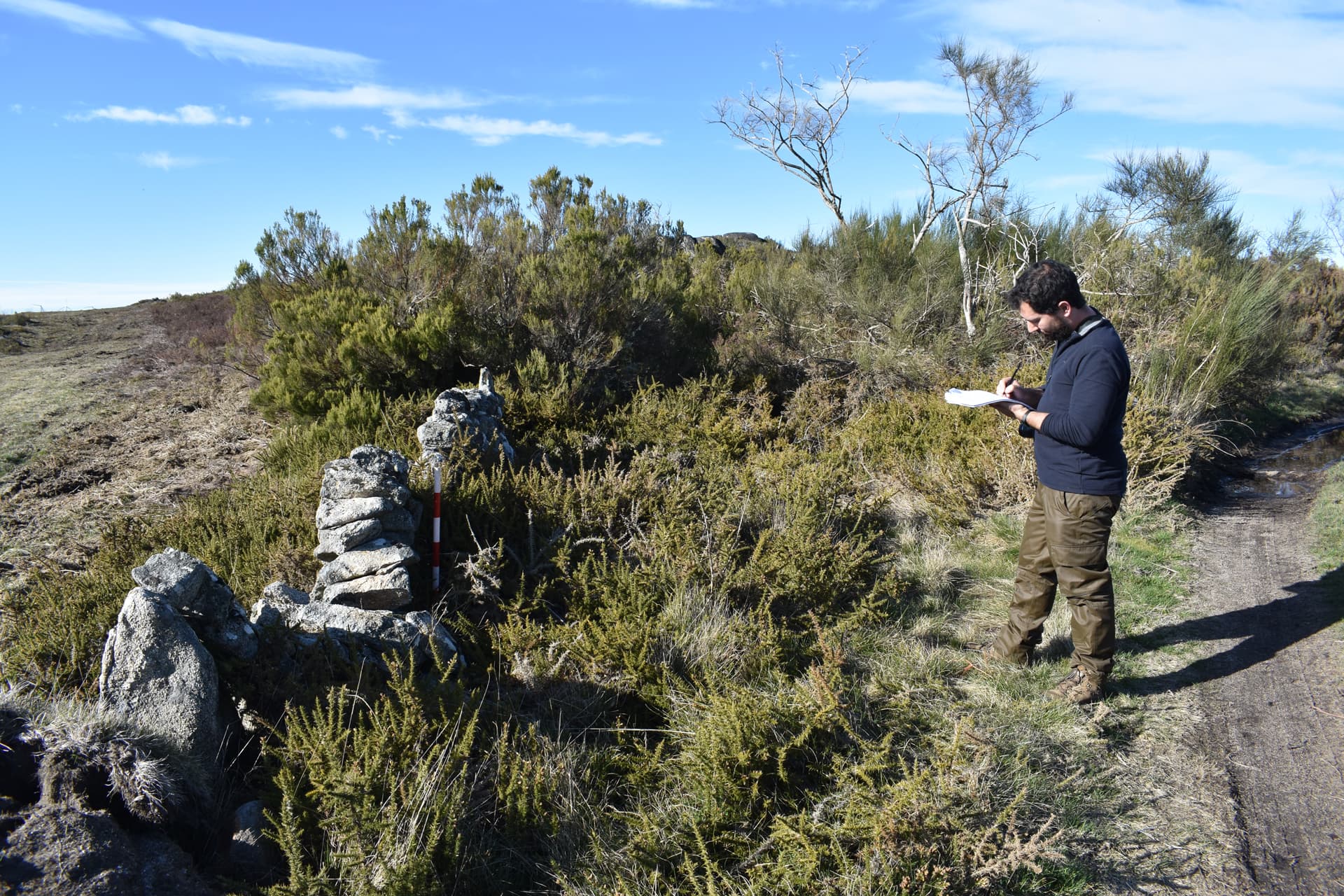 Blog de arqueología