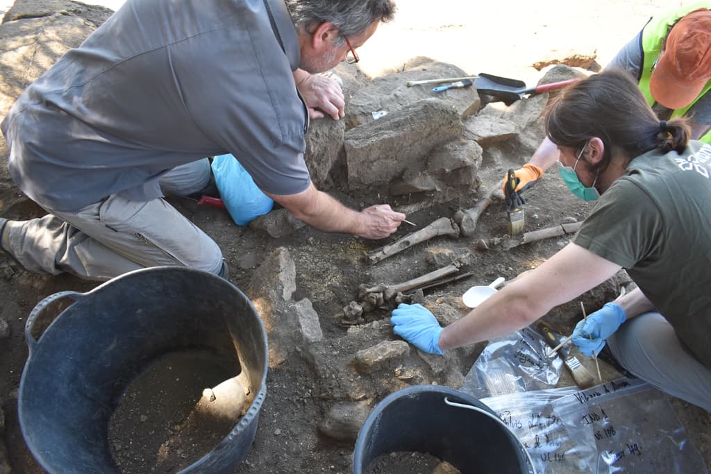 Profesionalidad en servicios arqueológicos en Galicia