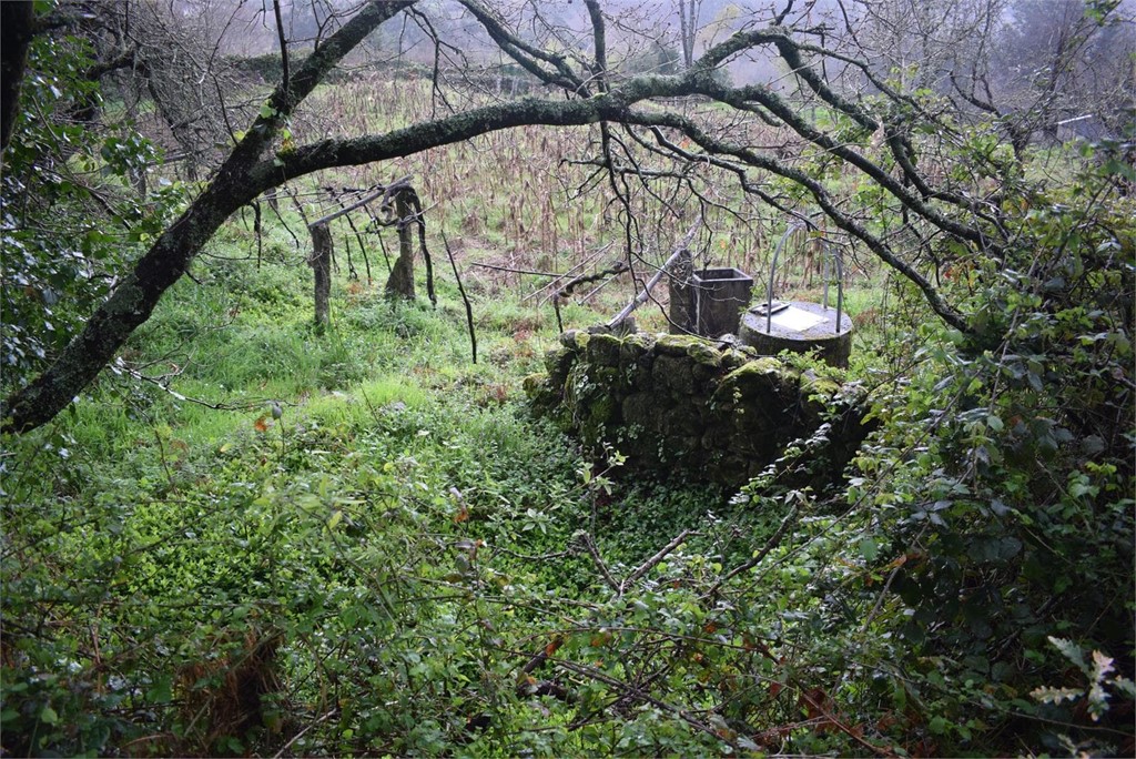 Patrimonio arqueológico de Ponteareas